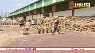 सरसों खरीदी के बनाए गए 22 केन्द्र, लेकिन 14 केन्द्रों पर ही पहुंचे किसान