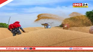 इस साल ज्यादा गेहूं खरीदी पर सरकार का जोर, एक महीने पहले शुरू होगी एमएसपी पर खरीदी