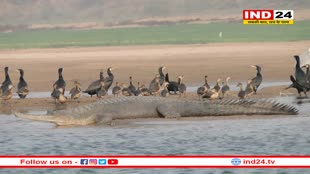 PM मोदी आज MP और राजस्थान को देंगे बड़ी सौगात