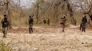 CG NEWS : दंतेवाड़ा में पुलिस-नक्सली मुठभेड़ में 1 माओवादी ढेर, शव समेत हथियार बरामद.....