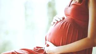 एमपी में अब NHM संविदाकर्मियों को मिलेंगी मैटरनिटी लीव, इस दिन से होगी लागू