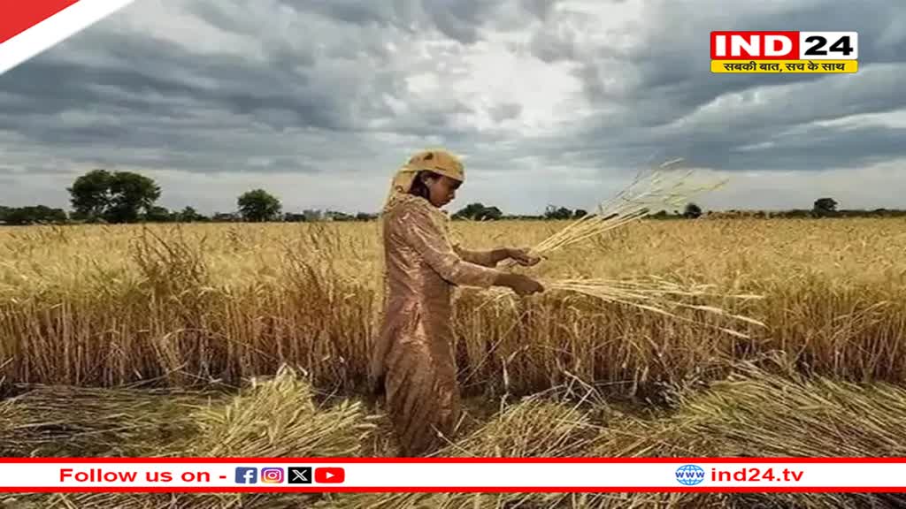 Weather Update: IMD ने जारी किया अलर्ट- बारिश के साथ पड़ेंगे ओले, 18 से 21 अप्रैल तक इन राज्यों रहेगा वेस्टर्न डिस्टर्बेंस का असर 