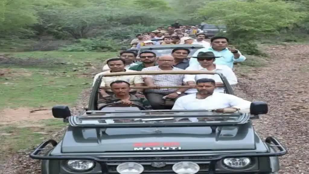 Rajasthan के रामगढ़ विषधारी टाइगर रिजर्व में प्रदेश की तीसरी जंगल सफारी शुरू, देना होगा इतना किराया 