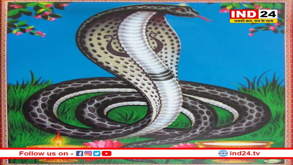 सनातन धर्म और नाग पंचमी: श्रद्धा, परंपरा और जीवों की रक्षा का उत्सव