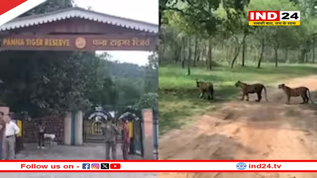 MP में आज से खुल गए ये 6 नेशनल पार्क,  बड़ी संख्या में पहुंचे पर्यटक