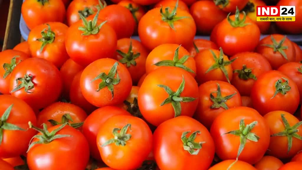 यहां पर 20 रुपये किलो के भाव से बिका टमाटर, दुकानदार ने रखी ये शर्त