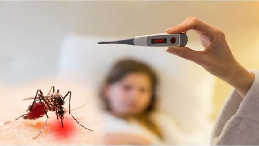 CG NEWS : छत्तीसगढ़ में आईफ्लू और डेंगू के बाद अब वायरल फीवर में बढाेत्‍तरी