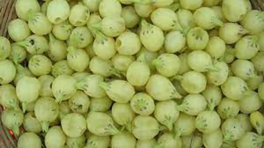 WPI News: आम जनता को बड़ी राहत, खाने-पीने की चीजों के दाम गिरे