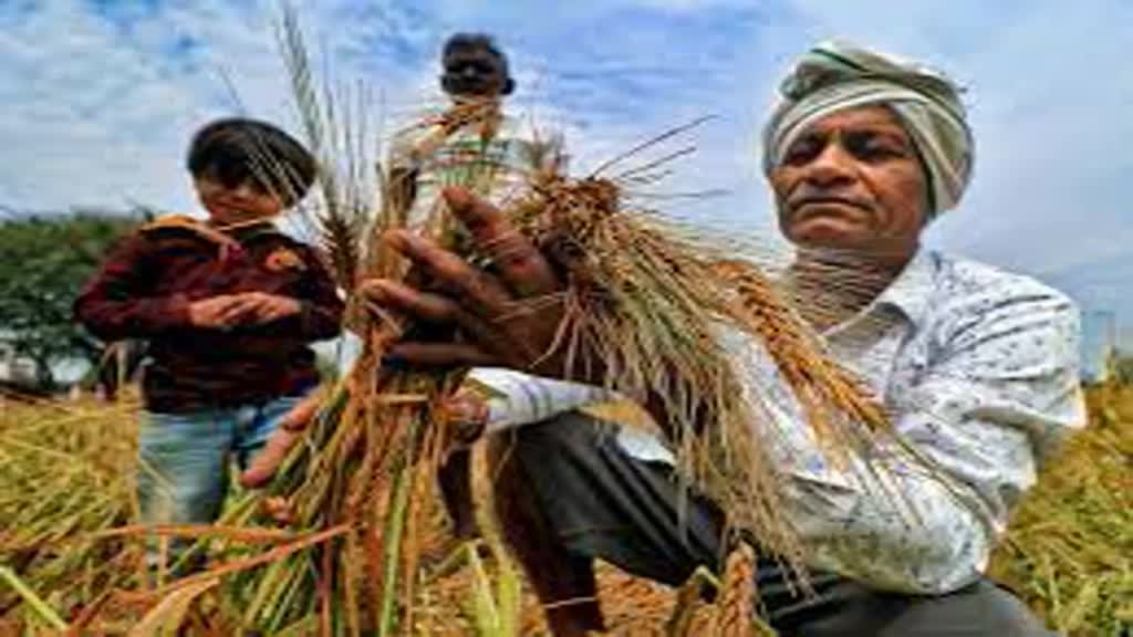 CG NEWS :  छत्तीसगढ़ के किसान, अब 16 अगस्त तक फसल का बीमा करवा सकते हैं