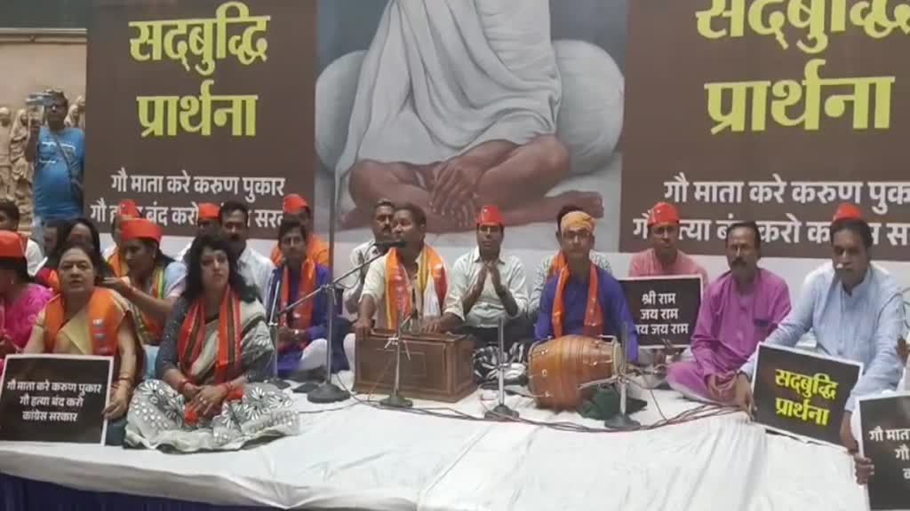 CG NEWS :  गायों की मौत पर , गांधी जयंती पर कांग्रेस की सद्बुद्धि के लिए प्रार्थना की 