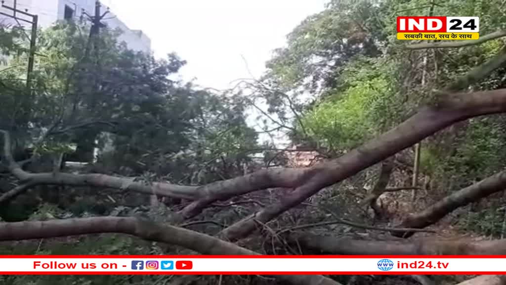 45 किमी की स्पीड से तेज आंधी के साथ बारिश की चेतावनी, ओलावृष्टि के भी आसार