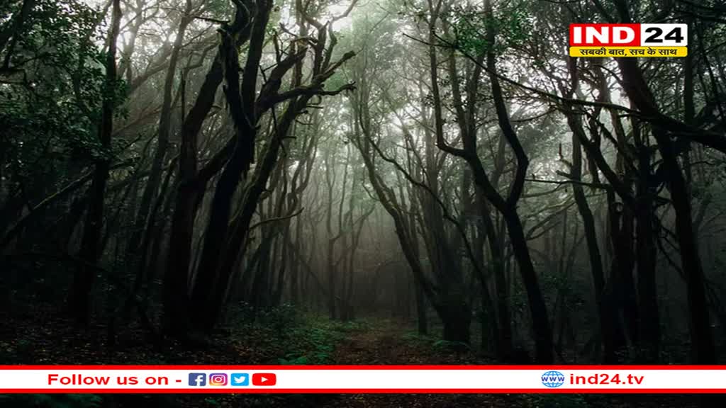 जलवायु परिवर्तन से निपटने की बड़ी तैयारी, राज्यों में बनी टास्क फोर्स