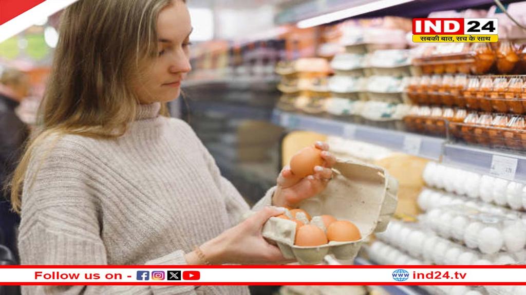 अब अंडे भी सुरक्षित नहीं? लैब टेस्ट में खतरनाक रसायन मिले
