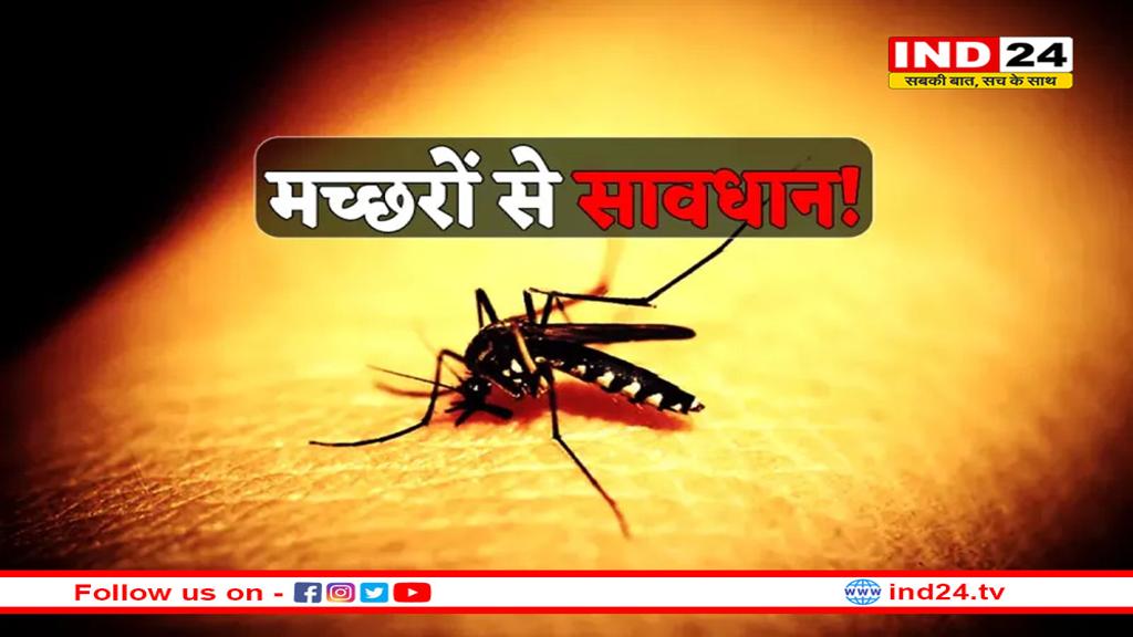 मच्छरों से सावधान! डेंगू से ज्यादा सामने आ रहे चिकनगुनिया के केस