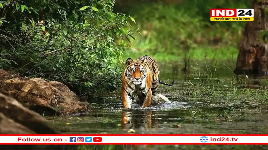 जबलपुर में बनेगा देश का पहला जियो पार्क