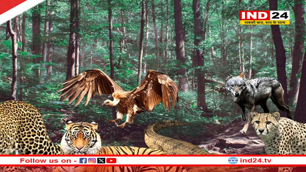 एमपी को मिला एक और वाइल्ड लाइफ सेंचुरी, इस नाम से जाना जाएगा