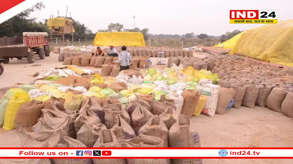 छत्तीसगढ़ में धान खरीदी में पिछले साल का रिकॉर्ड टूटा, आंकड़ा 145 लाख मीट्रिक टन से पार