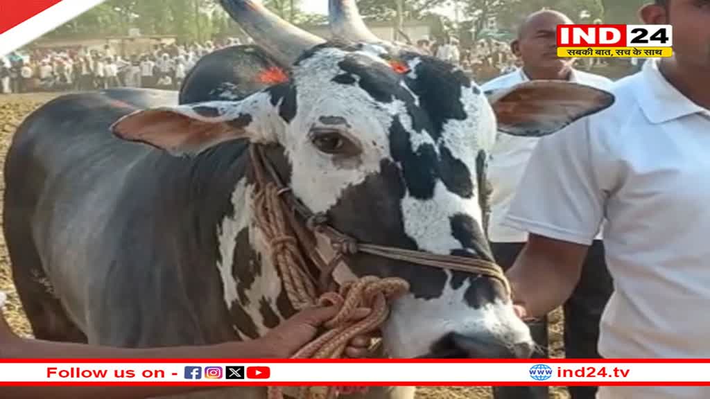 CG NEWS: बैल दौड़ और बैल शृंगार प्रतियोगिता आज