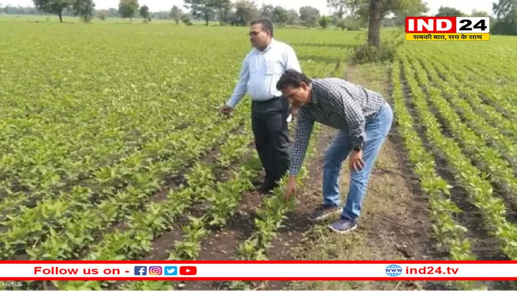 किसान दें ध्यान, इस तारीख से पहले करवाएं फसल बीमा