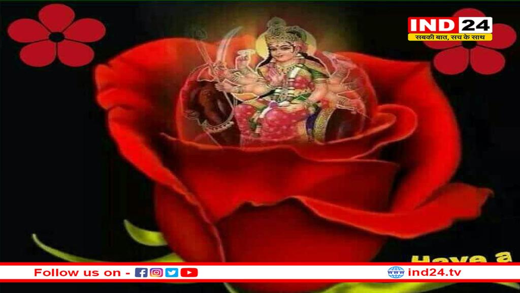 नवरात्रि के मौके पर मां दुर्गा को क्यों प्रिय हैं गुड़हल का फूल? 