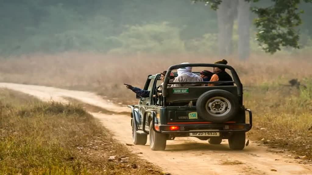 राजधानी भोपाल का वन विहार बना लोगों के आकर्षण का केंद्र, बड़ी संख्या में पहुंच रहे सैलानी