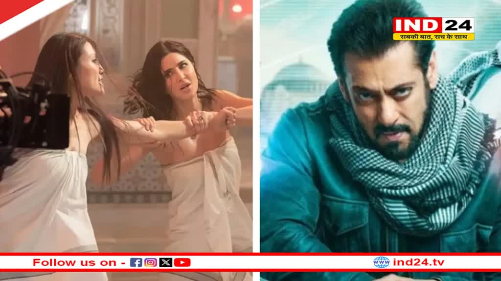 Tiger 3 WorldWide Collection: दुनियाभर में  टाइगर 3 की धूम, सलमान की फिल्म ने पार किया ये आंकड़ा 