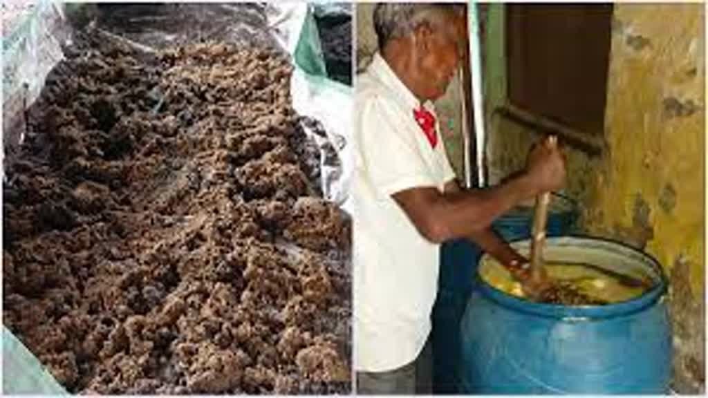 किसानों के लिए खुशखबरी, ‘ब्रहास्त्र’  ‘बीजामृत’ से होगी रबी और खरीफ फसलों की सुरक्षा