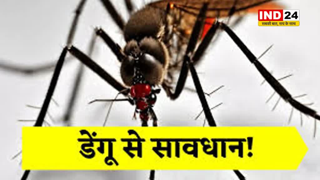 भोपाल में डेंगू का डंक,  शहर में डेंगू के मरीजों की संख्या बढ़कर 580 हो गई है