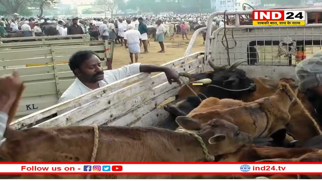 गोवंश के अवैध परिवहन पर पुलिस हुई सख्त, 6 माह में एक हजार से ज्यादा अपराधी पकड़े