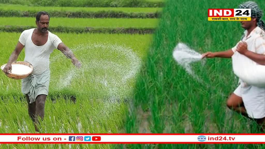 जैविक खेती : सरकार किसानों को तीन साल तक 5-5 हजार रुपए देगी प्रोत्साहन राशि