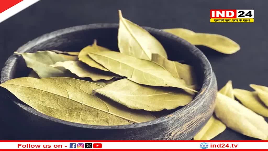 स्वाद के साथ सेहत के लिए भी वरदान है तेज पत्ता, जानें इसके फायदों के बारे में 