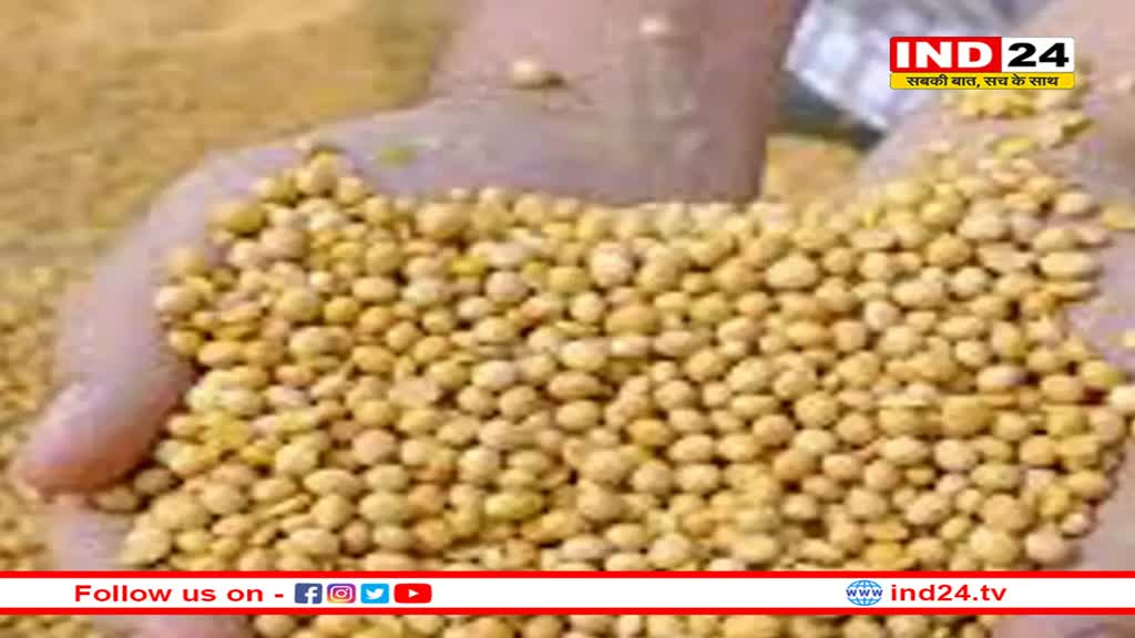 क्यों घट रहा सोयाबीन का उत्पादन, वैज्ञानिकों ने बताए कारण