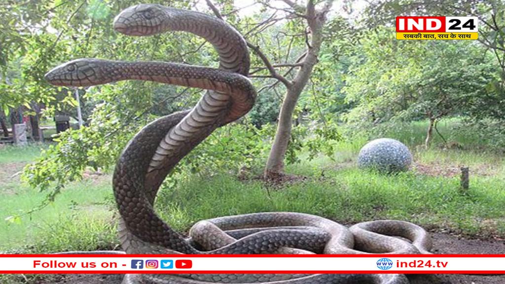 MP में बनेगा पहला हाईटेक ‘स्नेक पार्क’, एक जगह दिखेंगे 50 तरह के सांप