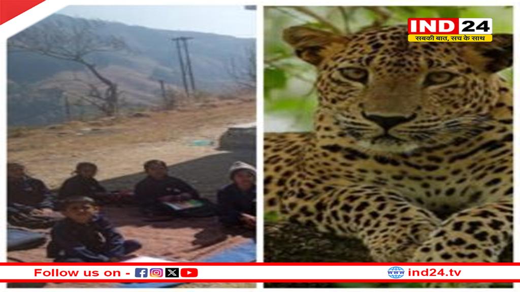 विद्यालय के बरामदे में सोया मिला गुलदार, नौनिहालों में दहशत का माहौल