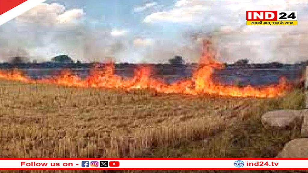 भोपाल में तीन महीने पराली जलाने पर रोक, उल्लंघन करने पर होगी कार्यवाही