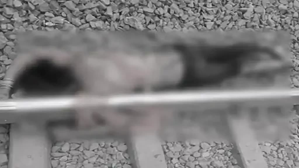 CG News : राजधानी में ट्रेन से गिरी थर्ड जेंडर,  हुई दर्दनाक मौत...