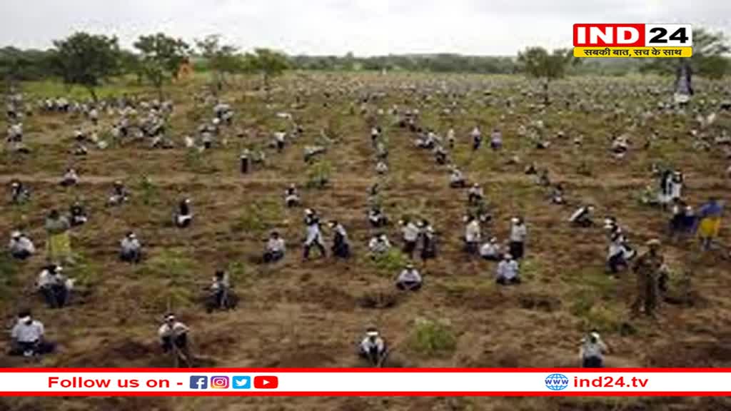 इंदौर में 7 से 14 जुलाई के बीच 51 लाख पौधारोपण करने का अभियान किया जाएगा शुरू