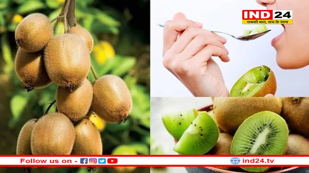 विटामिन C का अच्छा स्रोत है कीवी, दिल को भी रखता है दुरुस्त