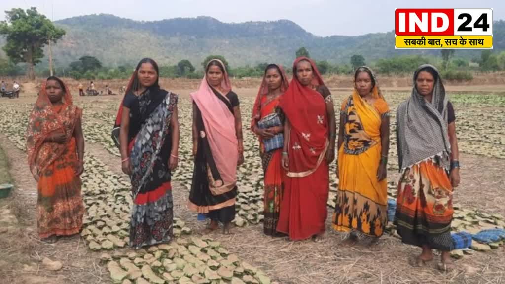 CG News : तेंदूपत्ता संग्राहक परिवारों के जीवन में आई खुशहाली की बहार, आज तेंदूपत्ता बढ़ाकर 4000 रुपए प्रति मानक बोरे में खरीदा जा रहा है, प्रति मानक बोरा में 1500 रुपए की वृद्धि की गई