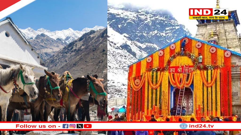 चारधाम यात्रा से पहले सरकार की चिंता बढ़ी, घोड़े-खच्चरों में इक्वाइन इन्फ्लुएंजा की पुष्टि