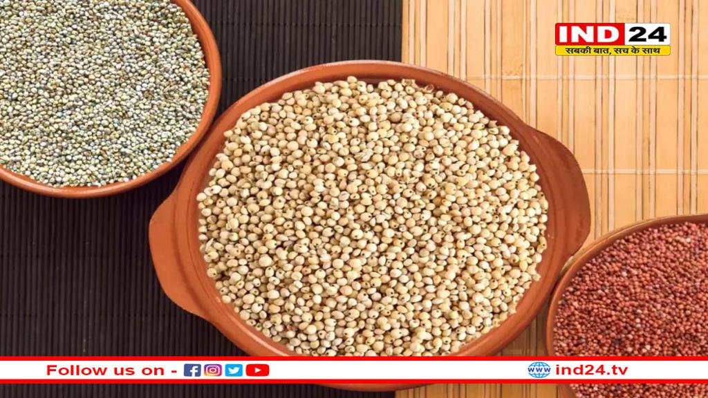 रागी, ज्वार और बाजरा सेहत के लिए कौन सा अनाज है ज़्यादा हेल्दी