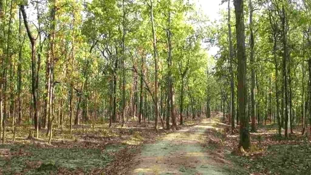 रक्षाबंधन पर महिलाओं के लिए एमपी में सुरक्षित टूरिज्म की मुहिम होगी शुरू