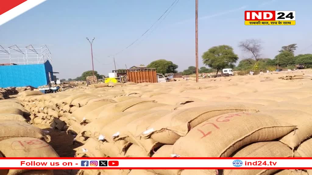 समर्थन मूल्य पर 46 लाख मीट्रिक टन धान खरीदेगी सरकार, पंजीयन प्रक्रिया जारी