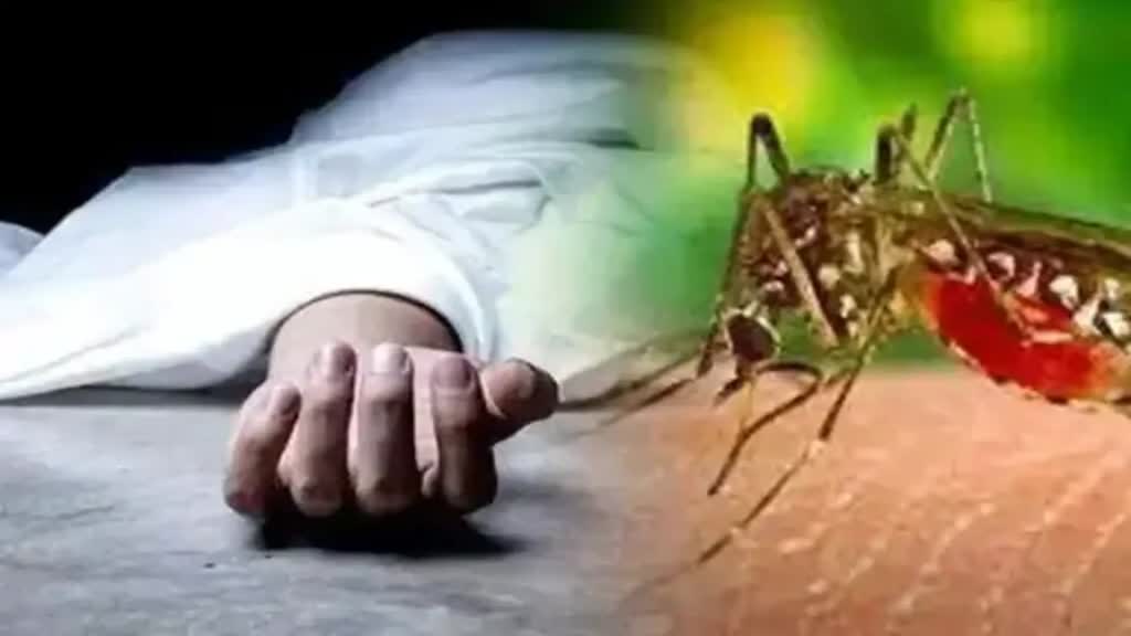 CG NEWS : Raipur में डेंगू से एक की  मौत | अंबेडकर अस्पताल में चल रहा था इलाज...