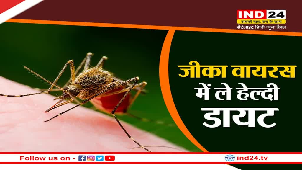 Zika Virus: जीका वायरस से रीकवरी के लिए, ले ये हेल्दी डायट