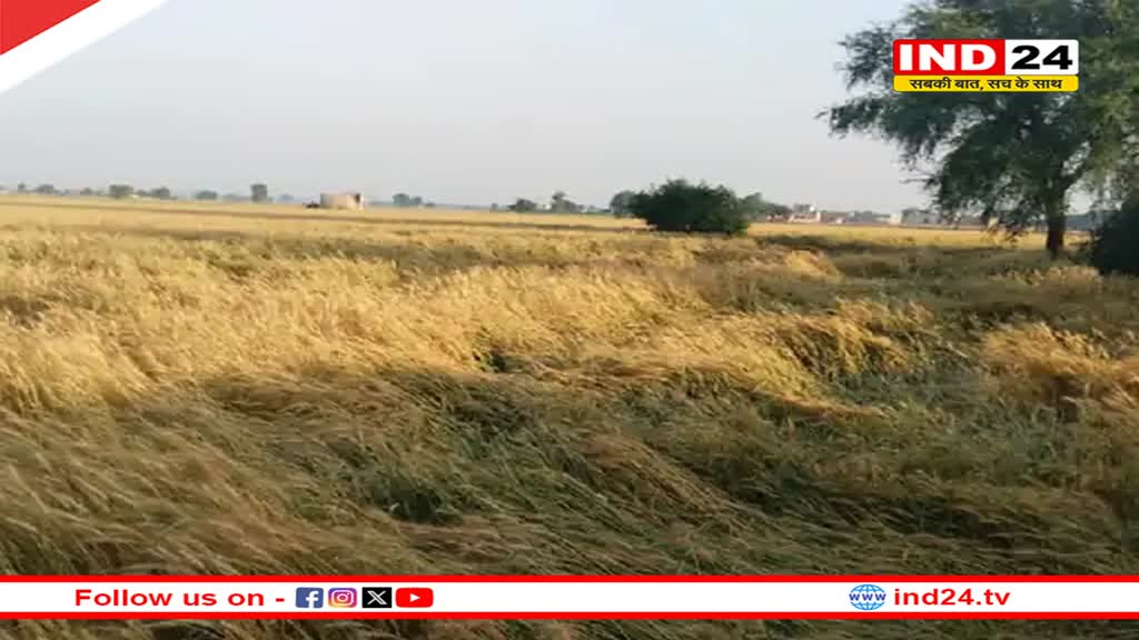 Rajasthan Weather Update: प्रदेश के 10 जिलों में आज आंधी-बारिश का अलर्ट, इस स्पीड से हवा चलने की संभावना 