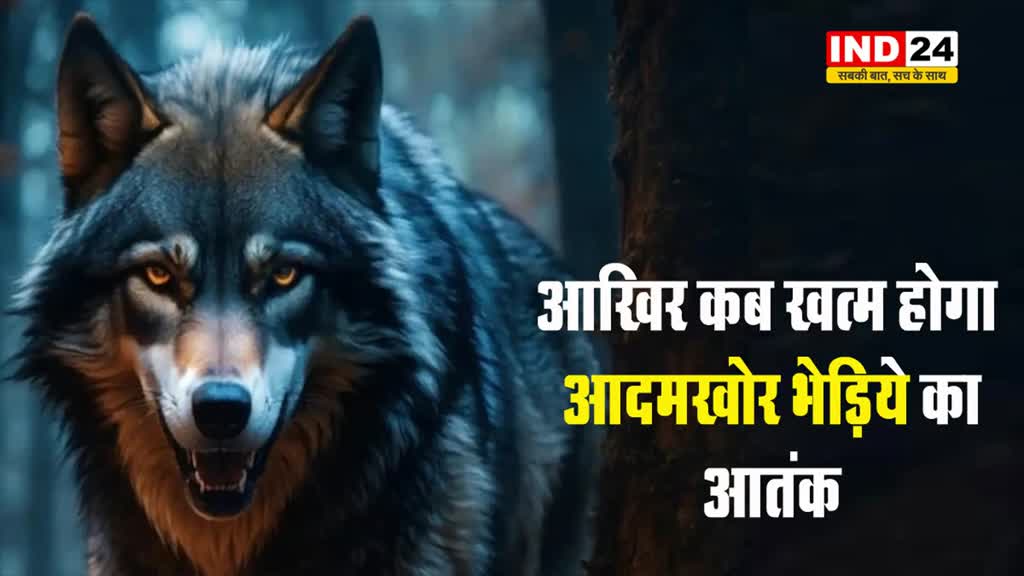 आखिर कब खत्म होगा आदमखोर का आतंक, बहराइच में सोती हुई बच्ची पर किया भेड़िये ने हमला 