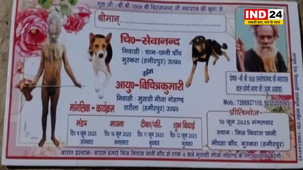 उप्र के हमीरपुर में कुत्ते-कुतिया की धूमधाम से शादी