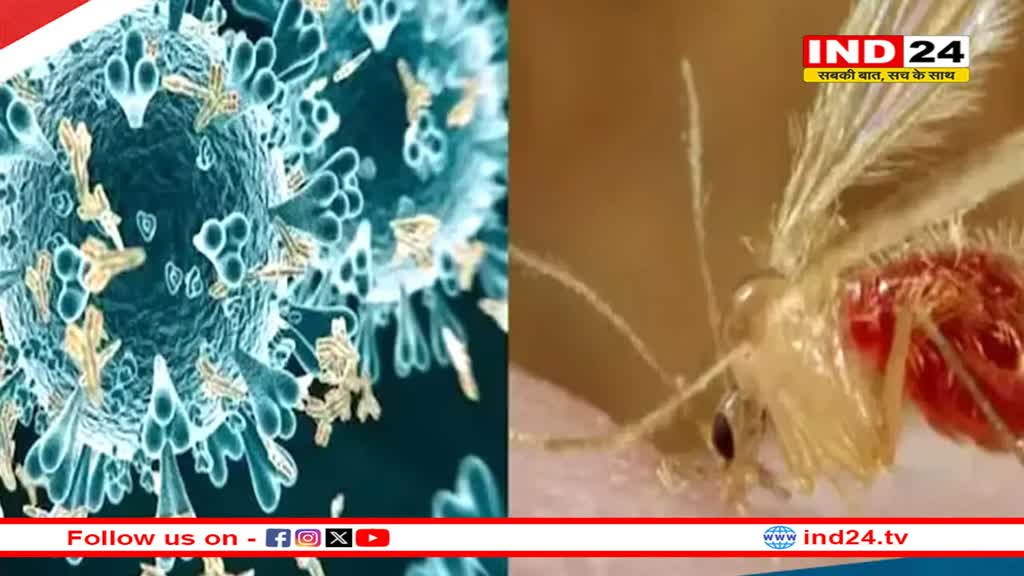 जानलेवा बना चांदिपुरा वायरस, गुजरात में कई बच्चों की हुई मौत, जाने क्या है चांदिपुरा वायरस