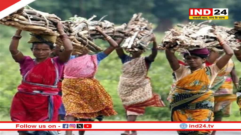 विशेष पिछड़ी जनजातियों को आर्थिक रूप से संपन्न बनाएगी मोहन सरकार, 201 वन धन केंद्र खोले जाएंगे, ये है पूरी योजना